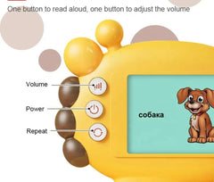 Talking Flash Card Reader Learning Toy