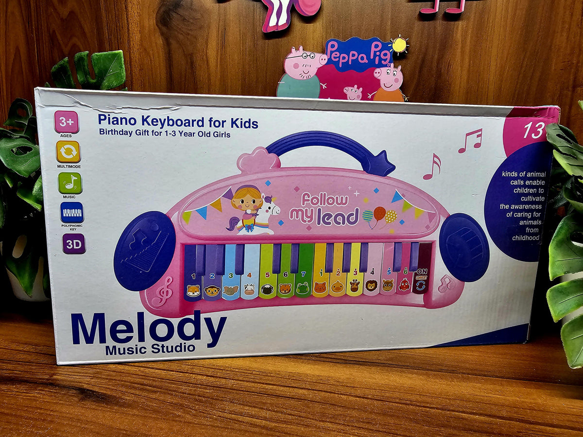 Big Size Fun Electronic 24 Keys Piano